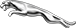 jagaur jagaur